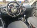 smart forFour Passion | ab 4,99% | Garantie | 2.Hand | Bianco - thumbnail 9