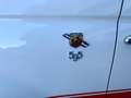 Abarth 595 595 1.4 16v t. t-jet turismo 160cv Blanco - thumbnail 8