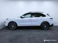 Porsche Cayenne CAYENNE E-HYBRID 3.0L 470 CV / PASM PNEUMATIQUE Weiß - thumbnail 10