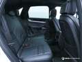 Porsche Cayenne CAYENNE E-HYBRID 3.0L 470 CV / PASM PNEUMATIQUE Weiß - thumbnail 21