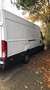 Iveco Daily 35 S 13 V Weiß - thumbnail 2