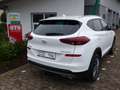 Hyundai TUCSON "Trend" 2WD Rückfahrkamera el.Fenster Alu Klima Weiß - thumbnail 3