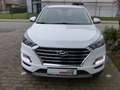 Hyundai TUCSON "Trend" 2WD Rückfahrkamera el.Fenster Alu Klima Weiß - thumbnail 2