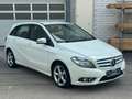 Mercedes-Benz B 180 CDI BlueEFFICIENCY Edition Weiß - thumbnail 5