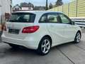Mercedes-Benz B 180 CDI BlueEFFICIENCY Edition Weiß - thumbnail 4