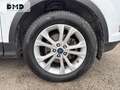 Ford Kuga 1.5 Flexifuel-E85 150ch Stop\u0026Start Titanium 4x2 Euro6.2 Weiß - thumbnail 19
