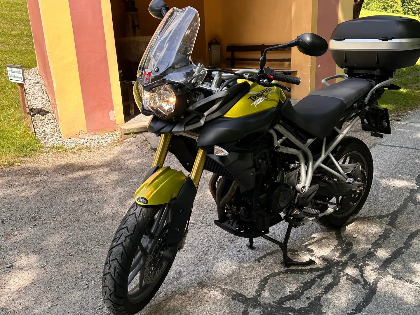 Triumph Tiger 800 Verde - 1
