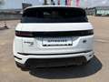 Land Rover Range Rover Evoque P300e PHEV AWD R-Dynamic S Aut. Weiß - thumbnail 5