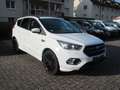 Ford Kuga ST-Line1.5 4x4 /Navi/Bi-Xenon/Panoramadach/ Weiß - thumbnail 3