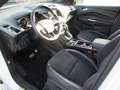 Ford Kuga ST-Line1.5 4x4 /Navi/Bi-Xenon/Panoramadach/ Weiß - thumbnail 11