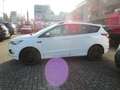 Ford Kuga ST-Line1.5 4x4 /Navi/Bi-Xenon/Panoramadach/ Weiß - thumbnail 5