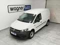 Volkswagen Caddy Caddy Maxi Kastenwagen Entry 2,0 TDI. Klima Weiß - thumbnail 3