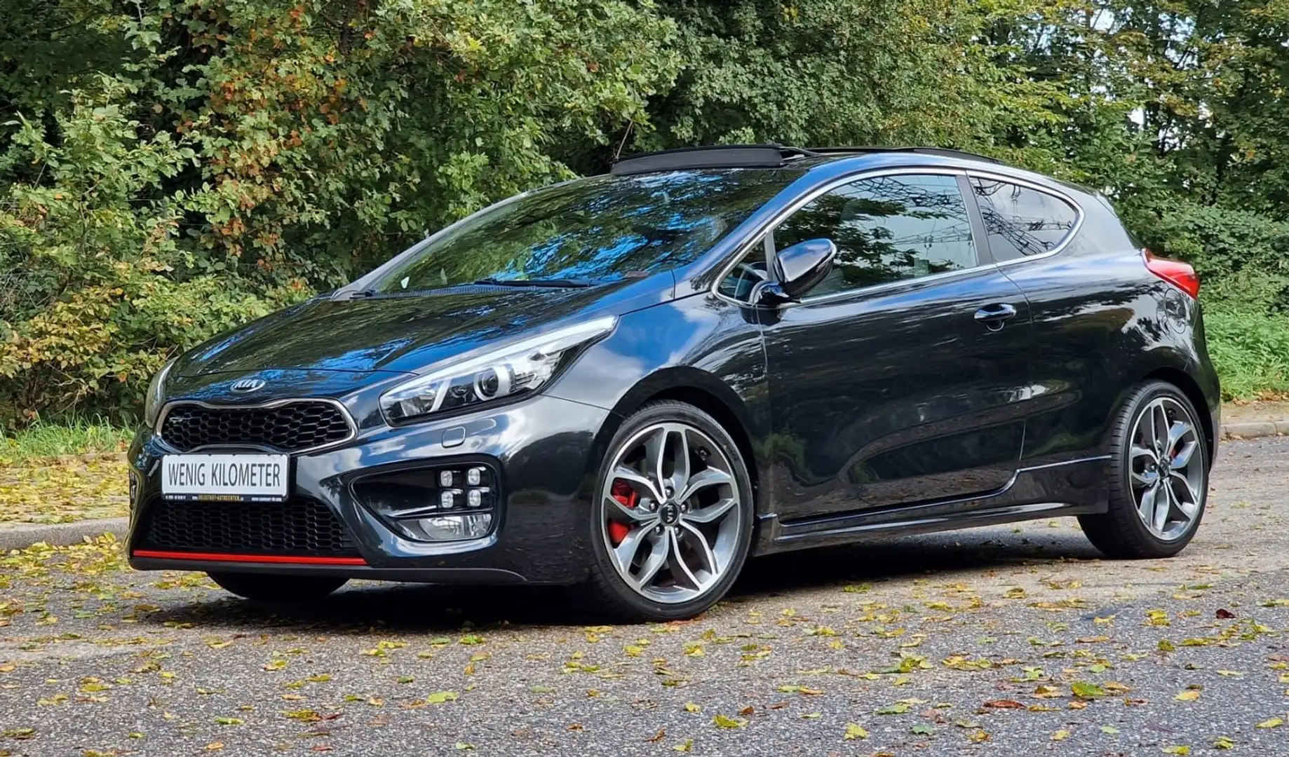 Kia ProCeed / pro_cee'd *SCHIEBEDACH*RFK*SHZ*8x ALU Schwarz - 1