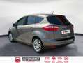 Ford C-Max Titanium 1.6 EcoBoost Auto-Start-Stop 150 CV Beige - thumbnail 3
