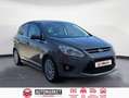 Ford C-Max Titanium 1.6 EcoBoost Auto-Start-Stop 150 CV Beige - thumbnail 7