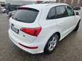 Audi Q5 Q5 3,0 TDI quattro DPF S-tronic Sline Perfekt!!! Weiß - thumbnail 12