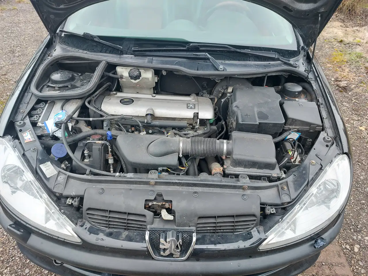 Peugeot 206 CC 135 Platinum ALÜ,LEDER,KLIMATRONIK, foto 8