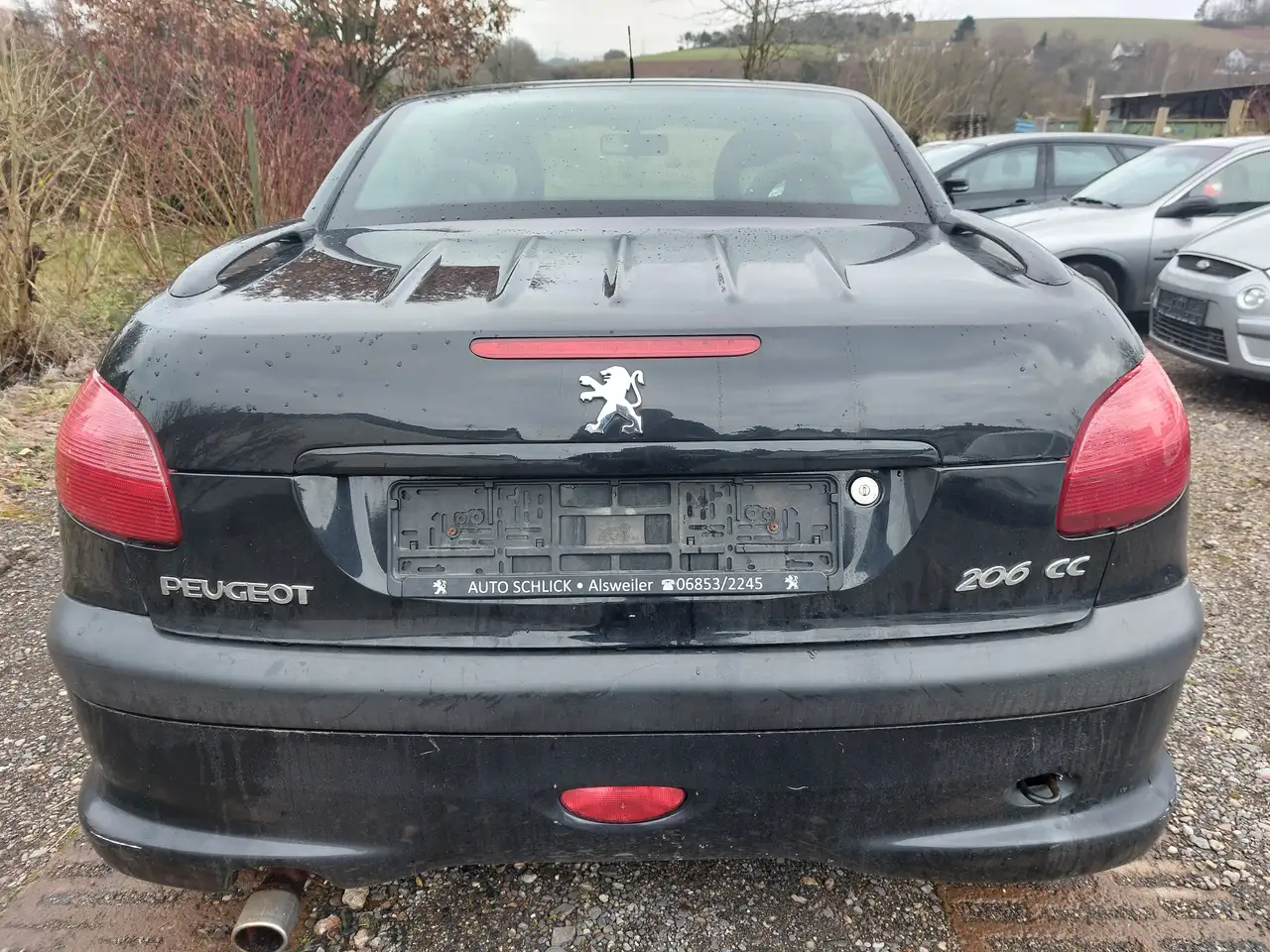 Peugeot 206 CC 135 Platinum ALÜ,LEDER,KLIMATRONIK, foto 3