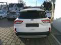 Ford Kuga 1,5 EcoBlue Cool & Connect Weiß - thumbnail 3