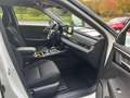 Mitsubishi Outlander Outlander Plug-in Hybrid 2.4L Basis Weiß - thumbnail 9