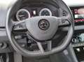Skoda Karoq 2.0 TDI DSG 4x4 SPORTLINE AHK LM19 LED Blau - thumbnail 8
