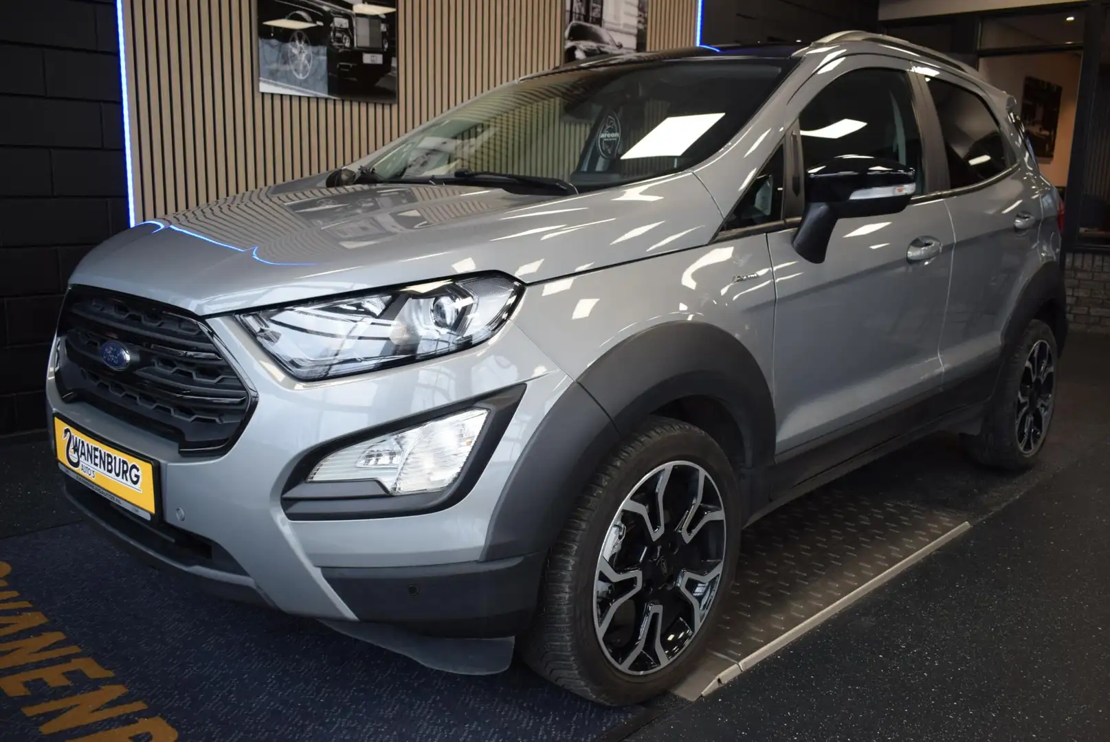 Ford EcoSport 1.0 EcoBoost Active Navi Camera Leder Airco Km 79. Grau - 1