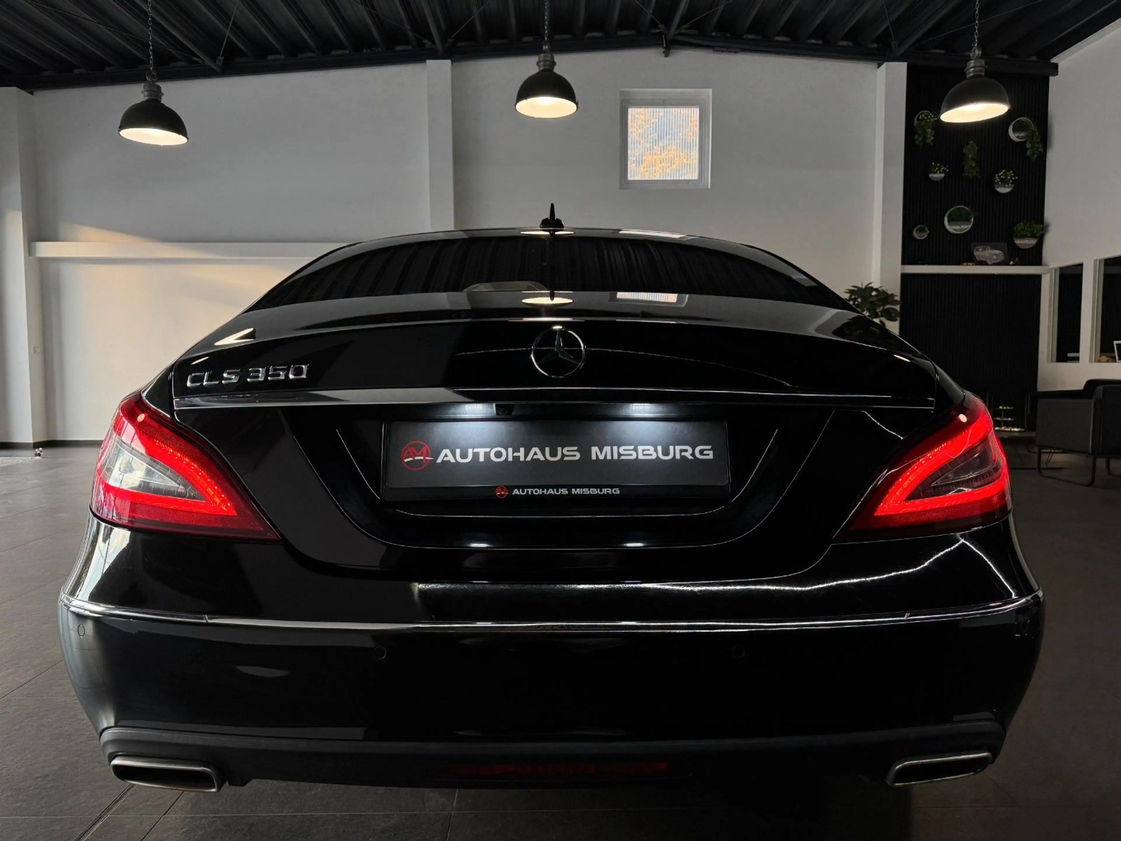 Mercedes-Benz CLS 350 d BlueTec 4Matic/Kamera+Schiebedach — photo 6