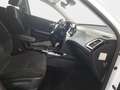 Kia Ceed SW / cee'd SW CEED SW 1.5 T-GDI DCT7 ULTIMATE EDITION MJ25 STYLE Biały - thumbnail 17