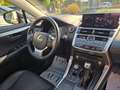 Lexus NX 300 NX 300h 2.5 Premium 4wd cvt Noir - thumbnail 15