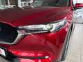 Mazda CX-5 Kangei 2WD Navi/Scheckheft/360°/LED/EURO6 Rouge - thumbnail 9