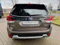 Subaru Forester 2.0ie Active Lineartronic sofort verfüg Brown - thumbnail 7