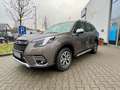 Subaru Forester 2.0ie Active Lineartronic sofort verfüg Brown - thumbnail 14