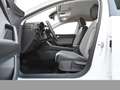 SEAT Leon 1.5 ROAD EDITION DSG NAV RFK KEYL AHK-Vorb. Wit - thumbnail 13