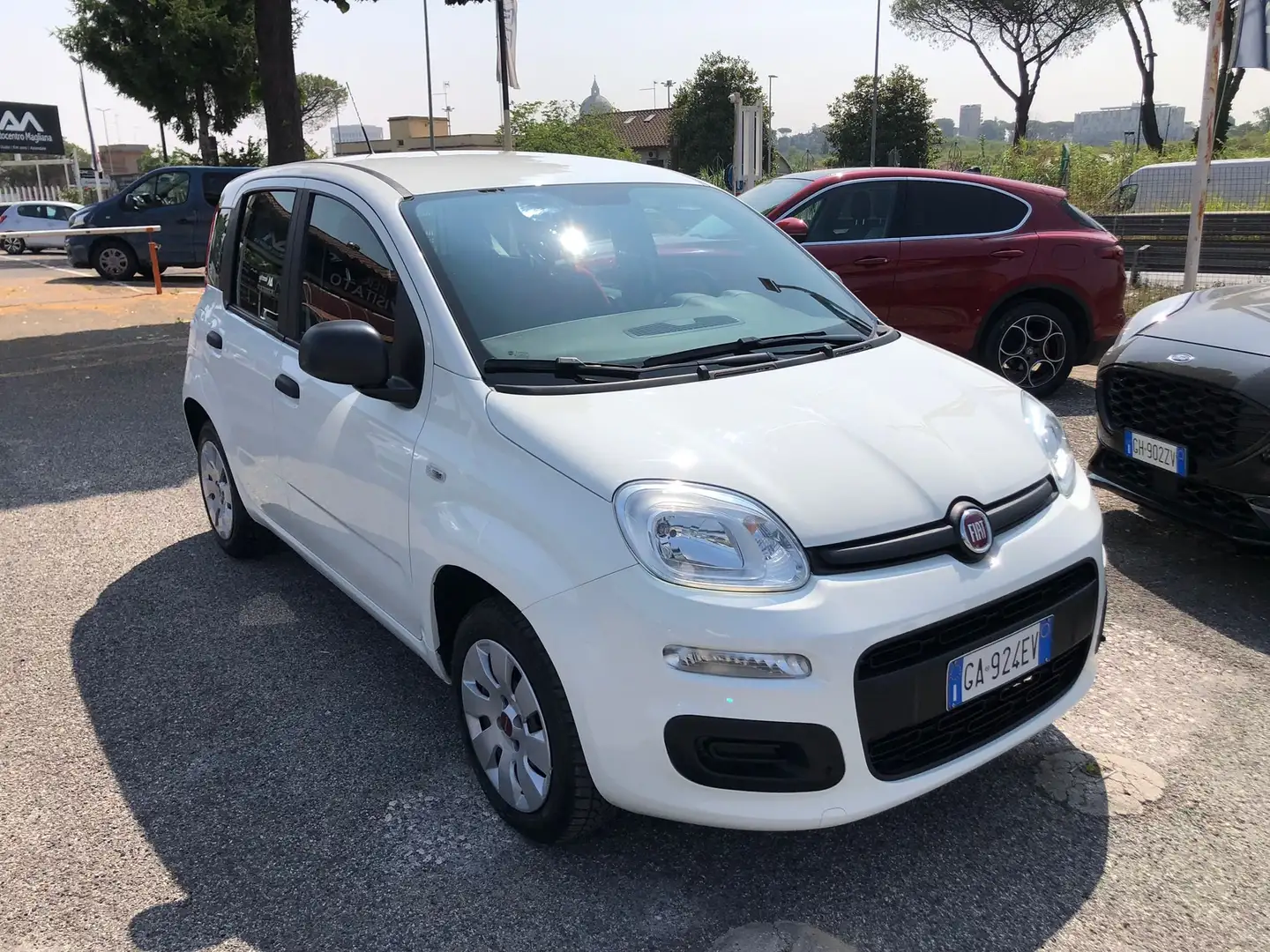 Fiat Panda Panda 1.2 Easy s Bianco - 1
