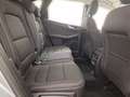 Ford Kuga Titanium 2.0 EcoBlue Automatik 4WD Silber - thumbnail 21