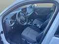 Audi Q2 S line 30 TFSI 85kW (116CV) Blanco - thumbnail 12