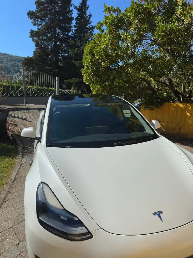 Tesla Model 3 Standard rwd Plus - 2
