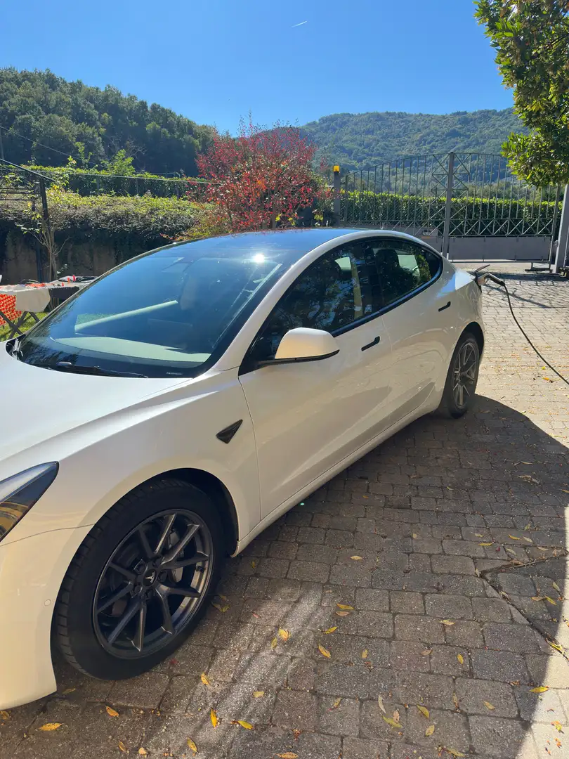 Tesla Model 3 Standard rwd Plus - 1