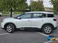 Citroen C5 Aircross BlueHDi 130 S&S EAT8 Shine NEOPATENTATI Weiß - thumbnail 5
