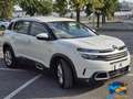 Citroen C5 Aircross BlueHDi 130 S&S EAT8 Shine NEOPATENTATI Weiß - thumbnail 3