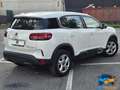 Citroen C5 Aircross BlueHDi 130 S&S EAT8 Shine NEOPATENTATI Weiß - thumbnail 7