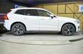 Volvo XC60 2.0 B4 D Momentum Pro Auto Amarillo - thumbnail 19
