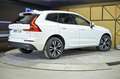 Volvo XC60 2.0 B4 D Momentum Pro Auto Amarillo - thumbnail 4