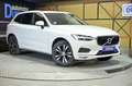 Volvo XC60 2.0 B4 D Momentum Pro Auto Amarillo - thumbnail 3