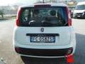 Fiat Panda 1.3 MJT 95cv S&S Easy Bianco - thumbnail 6