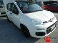 Fiat Panda 1.3 MJT 95cv S&S Easy Bianco - thumbnail 3