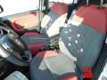 Fiat Panda 1.3 MJT 95cv S&S Easy Bianco - thumbnail 11