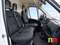 Fiat Ducato 2.2Mjet 140cv Blanco - thumbnail 5