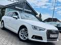 Audi A4 Avant design*LEDER*BI-XENON*NAVI* Weiß - thumbnail 1