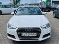 Audi A4 Avant design*LEDER*BI-XENON*NAVI* Weiß - thumbnail 2